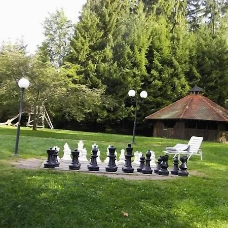 Schwarzwald Parkhotel Szálloda
