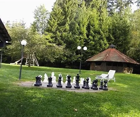 Schwarzwald Parkhotel 3*